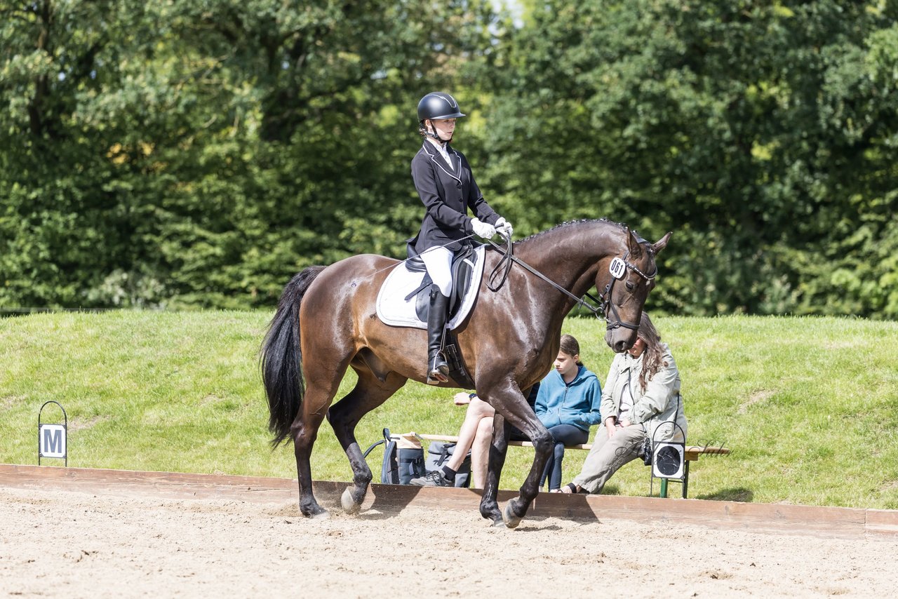 Bild 667 - Pony Akademie Turnier
